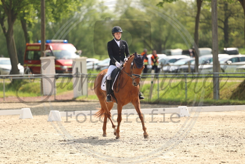 994A6718 | sabrinanicolaifotografie - Realisiert mit Pictrs.com