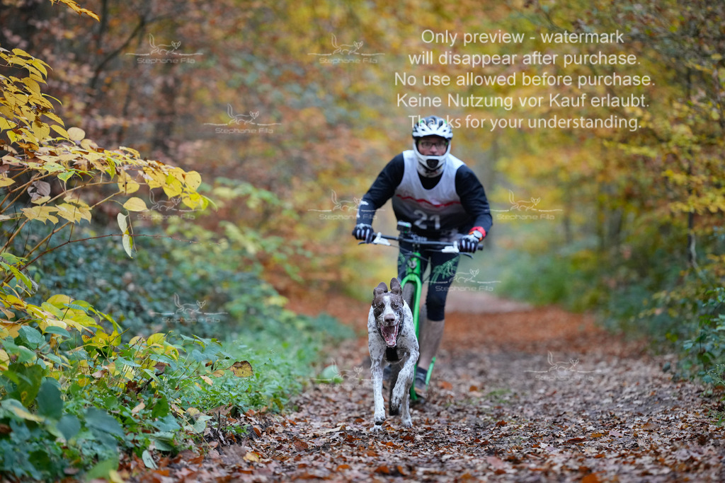 Scooter_So-19 | stephaniefillaphotographie - Realisiert mit Pictrs.com