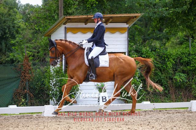 DKP41242 | Turnierfotos kaufen im Webshop von Daniel Kuhl Photography – entdecke professionelle Reitsportfotos aus Turnieren & Events. Hochwertige Turnierbilder online bestellen & sichern. Jetzt Fotos von Reitsportturnieren kaufen!