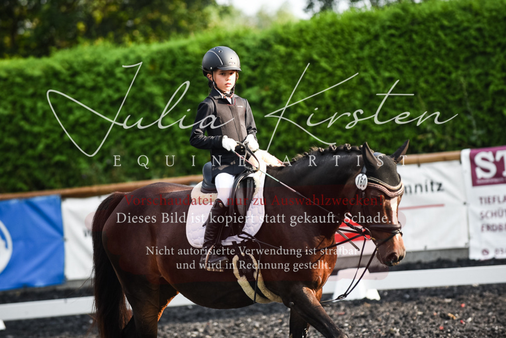 DSC_3546 | Pferde- und Turnierfotografie in Westsachsen. Pferdeportraits, Auftragszeichnungen und intuitive Kunst.