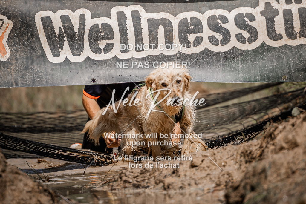 nelerasche_Hoope2026_Sa1230-1300_98 | nelerasche