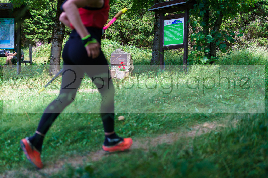 Schneekopflauf 2025 | Schmiedefeld am 5. Juli 2025