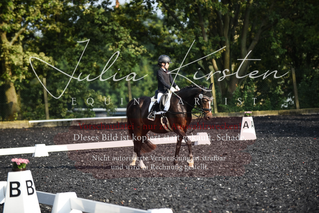 DSC_3505 | Pferde- und Turnierfotografie in Westsachsen. Pferdeportraits, Auftragszeichnungen und intuitive Kunst.