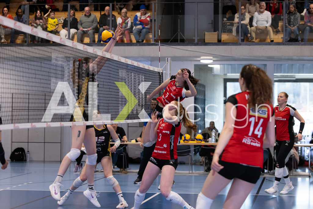 Volleyball I Frauen I Saison 2025-2026 I Volleyball NLA | Women I 1/4 Finals I  BIWI VFM - VC Kanti Schaffhausen I 01.03.2026 | 5 Wanda Herzog (CH) (VC Kanti Schaffhausen) - Mitte - Realisiert mit Pictrs.com