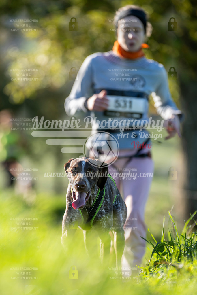 MompixPhotography_20TSB_E3_Run-148 | PayLife