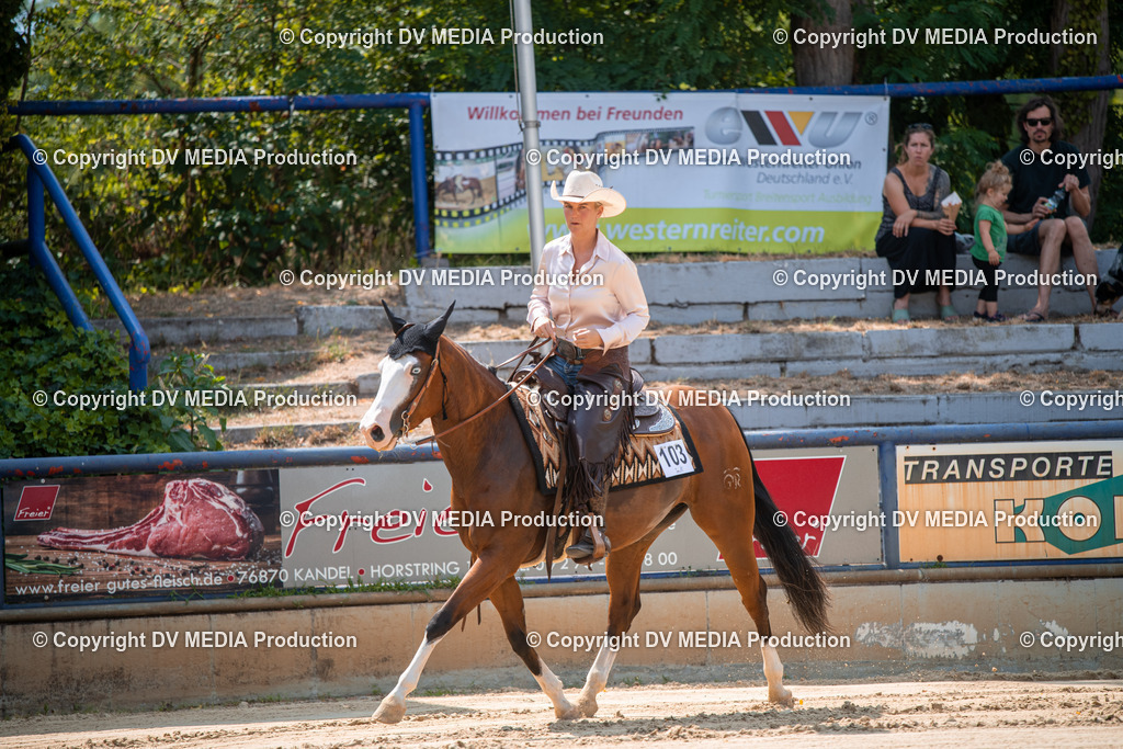 ZS2_8290 | dv-media-shop - Realisiert mit Pictrs.com