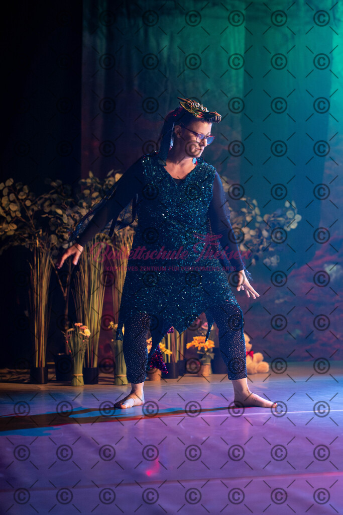 Ballettaufführung-1429 | Bildershop Lem'n Entertainment - Realisiert mit Pictrs.com