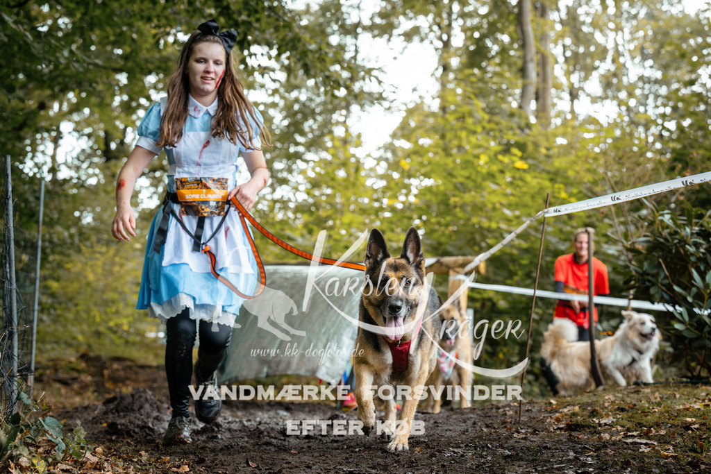 1431DZ6_2680Z6 | kk-dogfotos