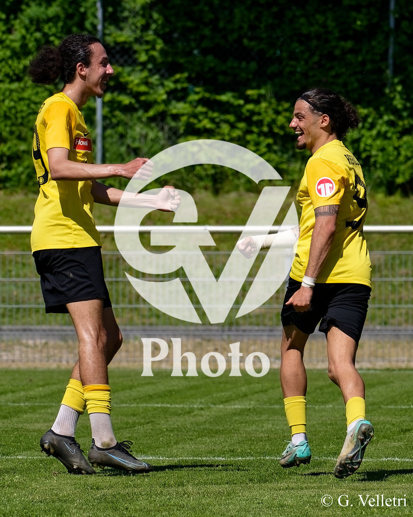 DSC_8049 | Velletri Photo