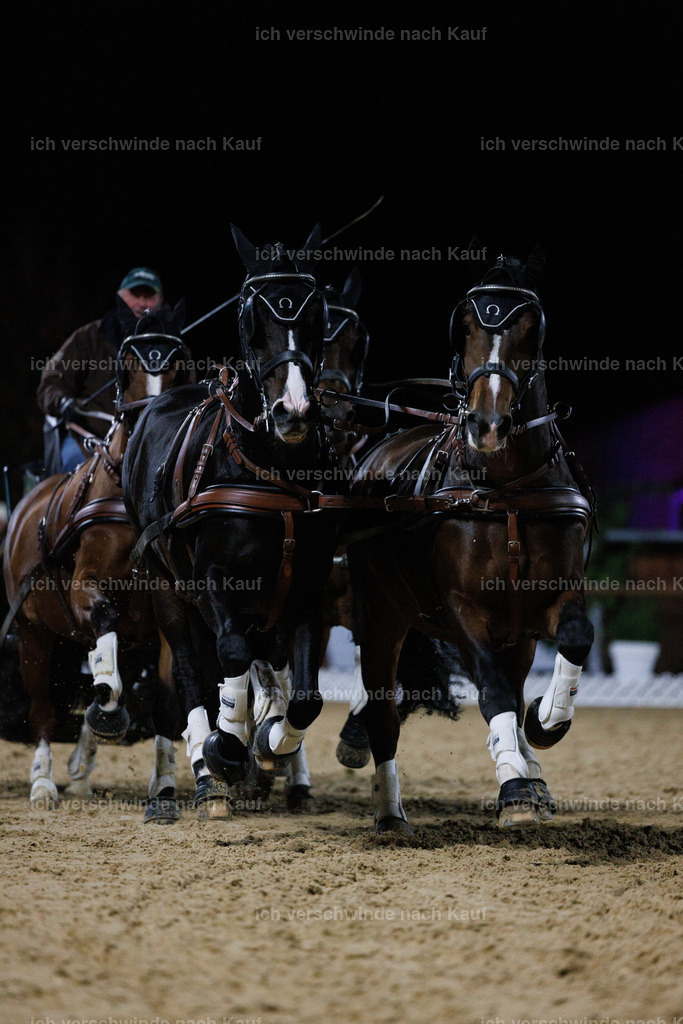 FHClassics-305 | working equitationturnier fotograf videograf stoibphotography marixx film working equitation deutschland reitsport turnierfotografie eventfotografie equestrian events