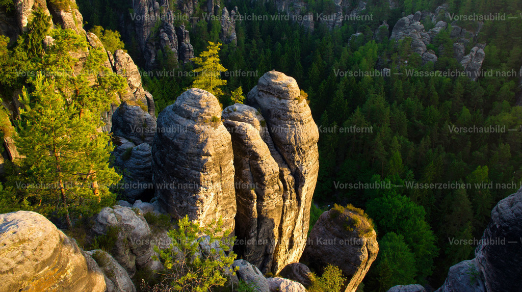 Morgens im Felsenmeer | in der Sächsischen Schweiz - Realisiert mit Pictrs.com