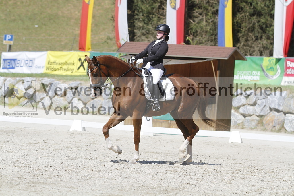 _MG_0302 | equestrian-live-com