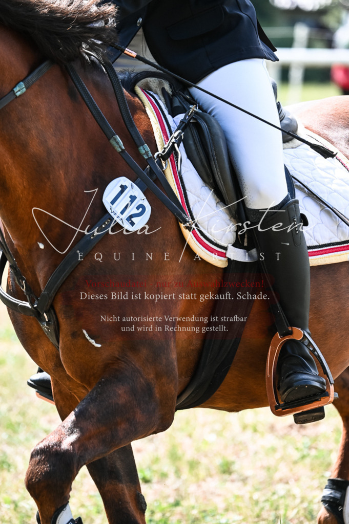 DSC_8670 | Pferde- und Turnierfotografie in Westsachsen. Pferdeportraits, Auftragszeichnungen und intuitive Kunst.
