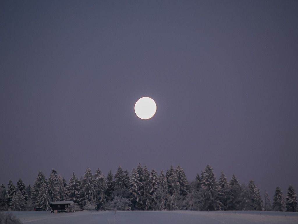 PSX_20230207_233116 | OLYMPUS DIGITAL CAMERA - Realisiert mit Pictrs.com