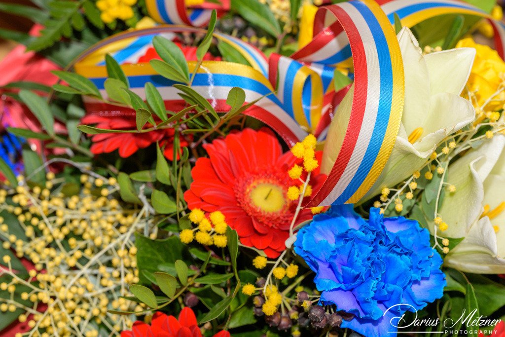 Die Mainzer Fastnacht | Die Mainzer Fastnacht