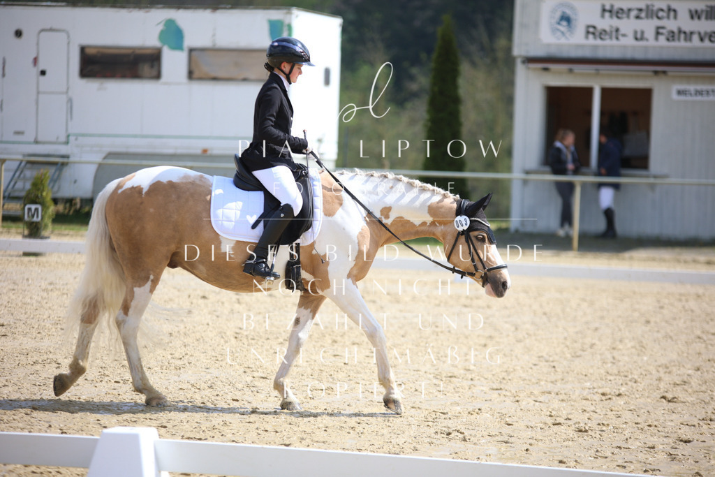 IMGT4334 | pl-fotografie