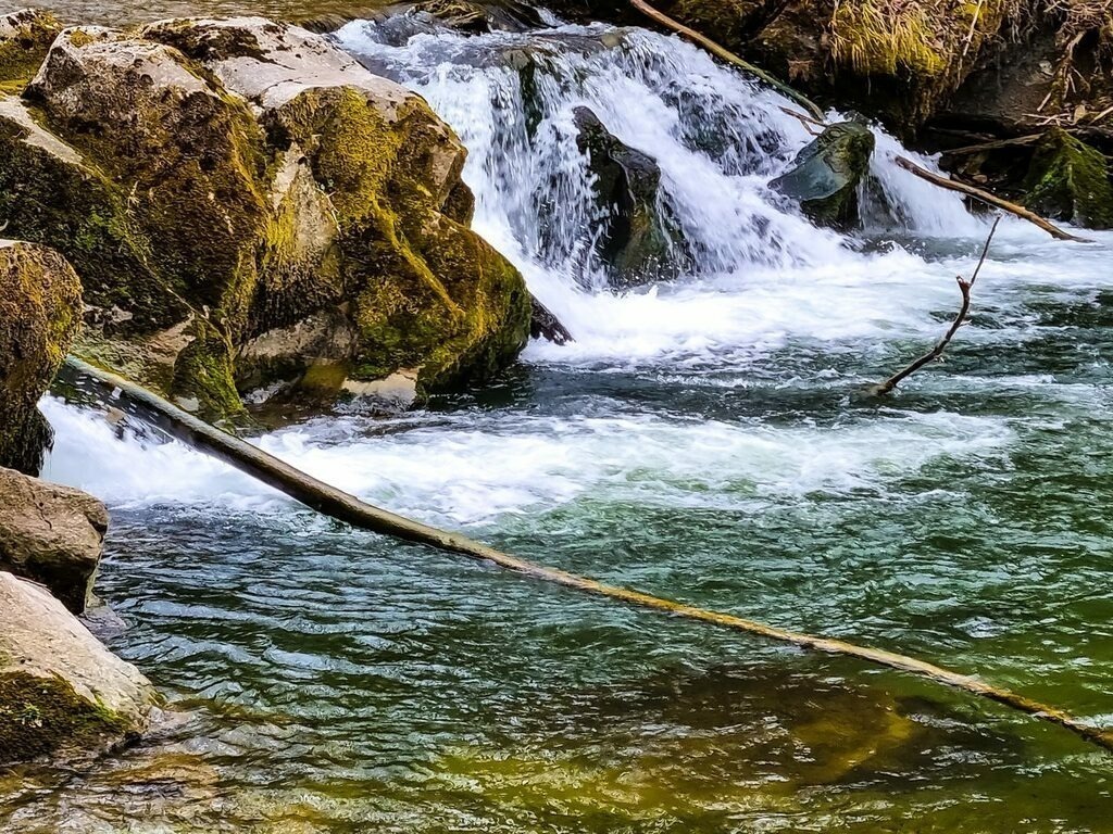 PSX_20220330_161556 | mtkfoto_ - Realisiert mit Pictrs.com