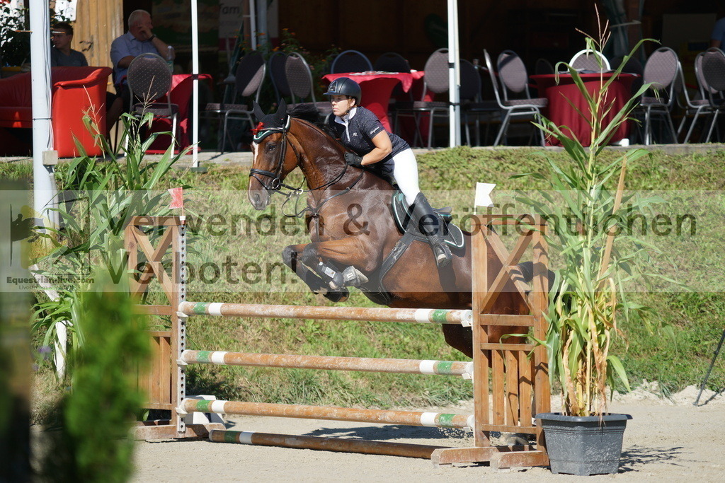 DSC02343 | equestrian-live-com