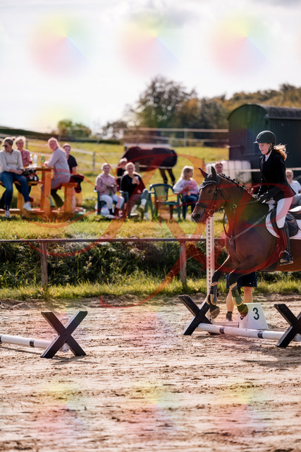 2026_10_03_Siefer-Hof_143511_Z81_03192396 | Professionelle Reitsport-, Turnier- und Eventfotografie von Robert Broda. Galerien mit ausgewählten und bearbeiteten Bildern direkt online ansehen und bestellen.