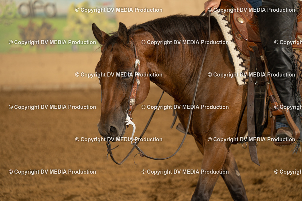 LAU01842 | dv-media-shop - Realisiert mit Pictrs.com