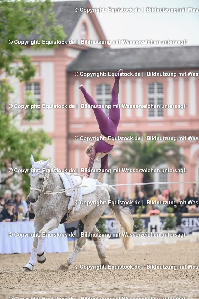20240519_Voltige_0031 | Foto: Thomas Hartig