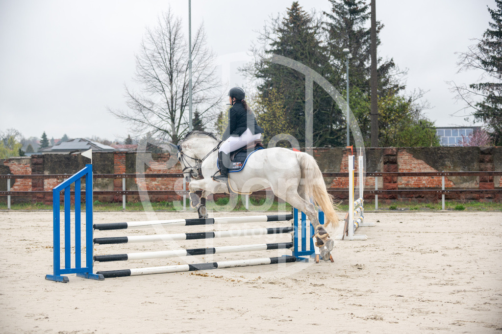 DSC_8266 | sattelsport - Realisiert mit Pictrs.com