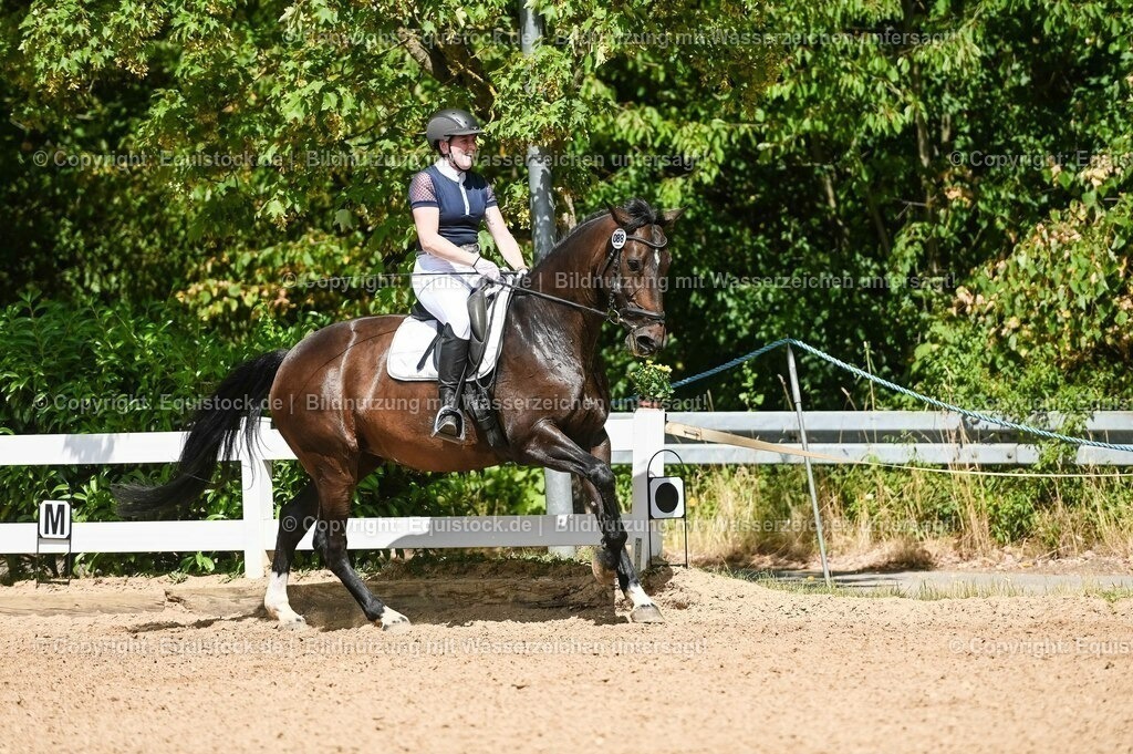 20230715_02_Dressurreiterprüfung Kl.L_0125 | equistock
