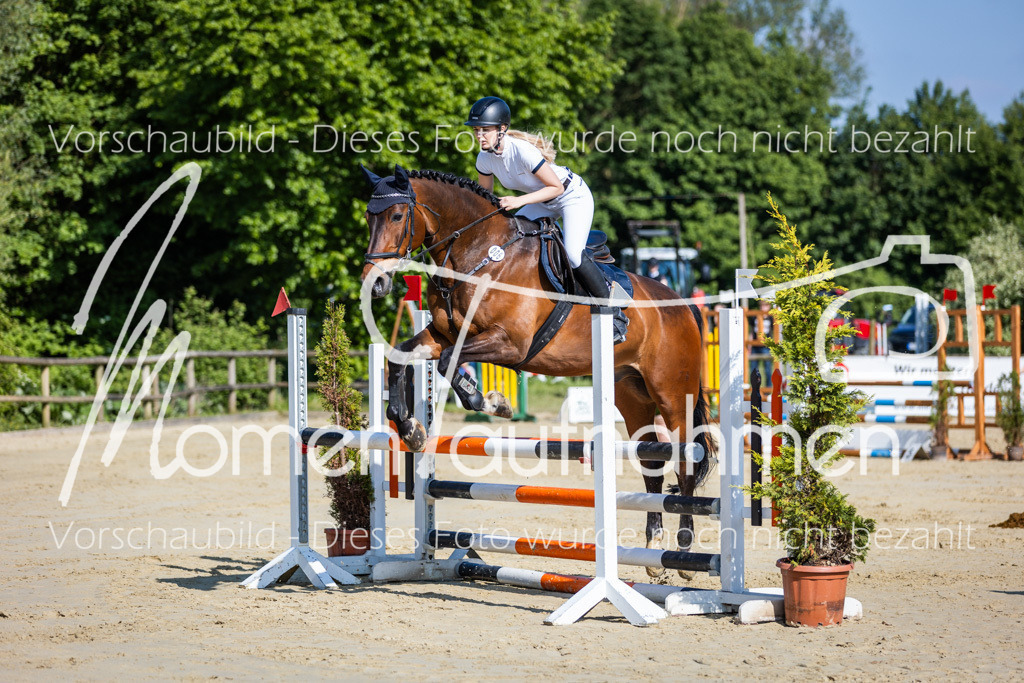 Donop24-ASpr-026 | MomenTaufnahmen Pferdesportfotos