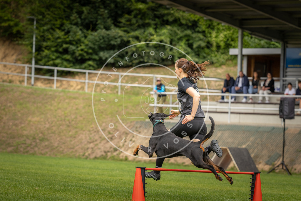 Pfotenfotografie_DV3A9663 | Hundefotografie, Tierfotograf, Pfotenfotografie, Fotoshooting Hund, Hunde Portrait, Hundesport, Hundeportraits, Heideshooting, Hunde, Sportfotograf, Hundefotograf, Turnierhundsport, THS,  - Realisiert mit Pictrs.com