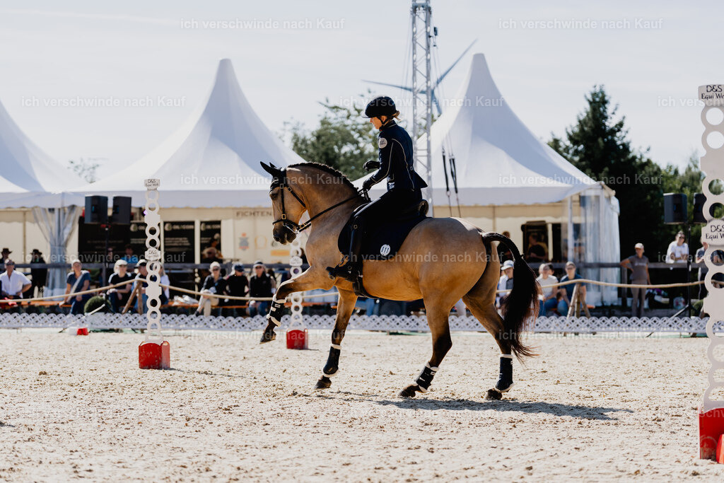 Diana11_FHC2025-09044 | working equitationturnier fotograf videograf stoibphotography marixx film working equitation deutschland reitsport turnierfotografie eventfotografie equestrian events