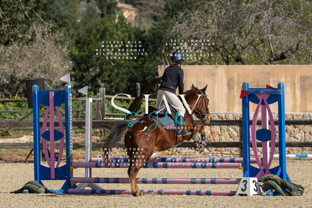 IMG_5969 | s-jay-photography - Realisiert mit Pictrs.com