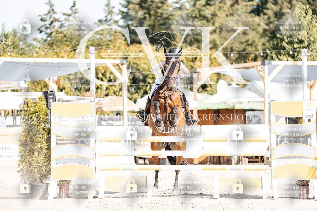 CK902230 | Turnierfotografie Pferdefotografie Trier Rheinland-Pfalz Pferdesport Reitsport Tierfotografie Sportfotografie Pferdevideo Pferdevideografie Equestrianvideography equestrianphotography  - Realisiert mit Pictrs.com