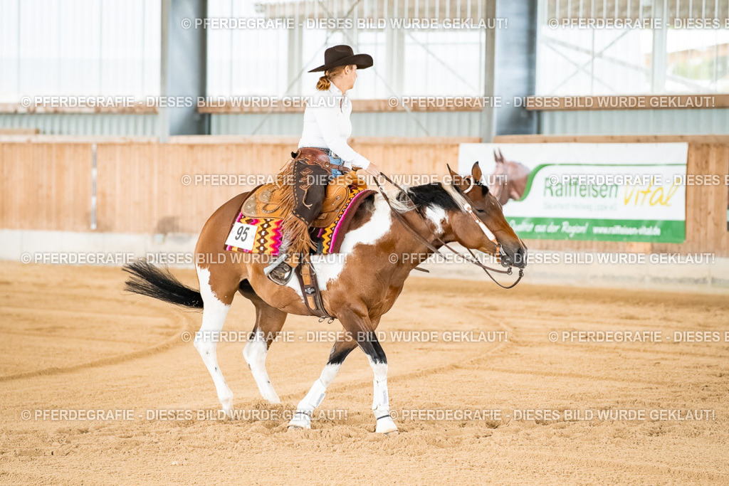 DSC01818 | Pferdegrafie