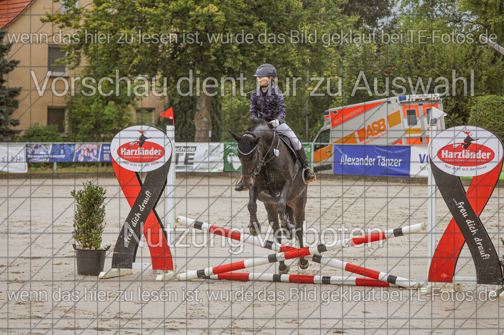 2025-09-22_10-17-43_MG_6478 | TE-Fotos