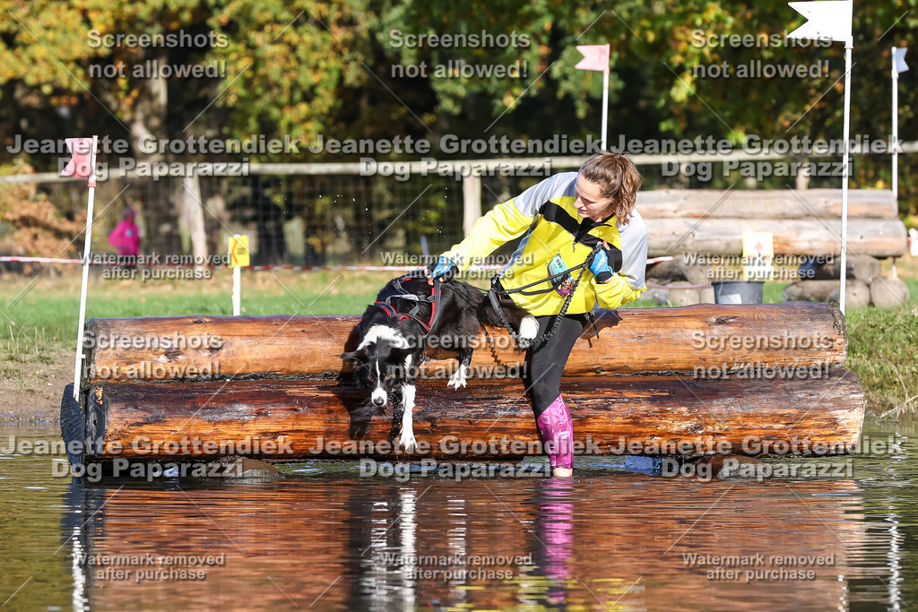 Dog Paparazzi - Strongdog 10-25-8645 | Dog Paparazzi Jeanette Grottendiek Fotografie & Videografie - Realisiert mit Pictrs.com