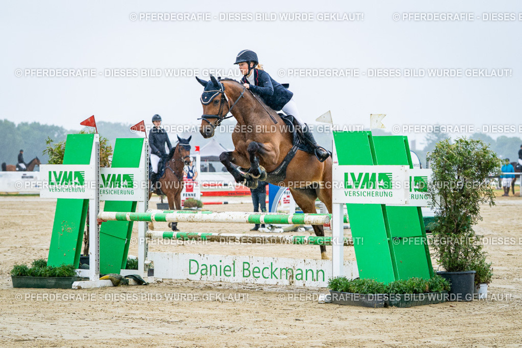 DSC02906 | Pferdegrafie