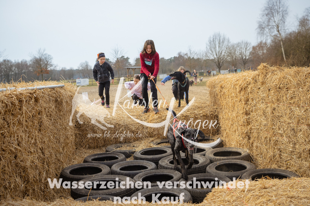 1052_ZZ90498 | kk-dogfotos