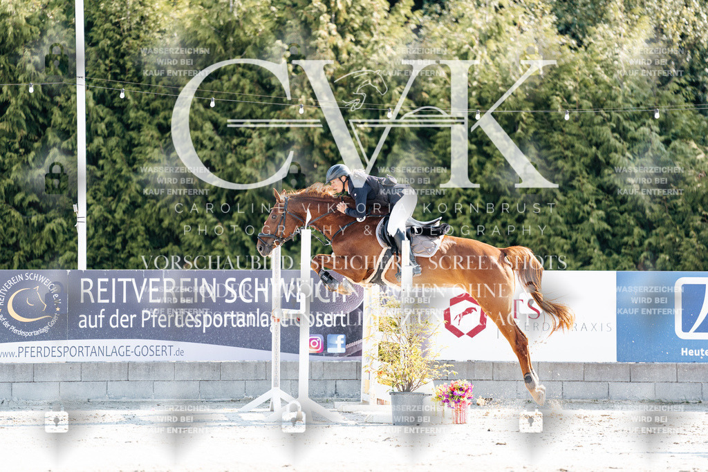 CK901764 | Turnierfotografie Pferdefotografie Trier Rheinland-Pfalz Pferdesport Reitsport Tierfotografie Sportfotografie Pferdevideo Pferdevideografie Equestrianvideography equestrianphotography  - Realisiert mit Pictrs.com