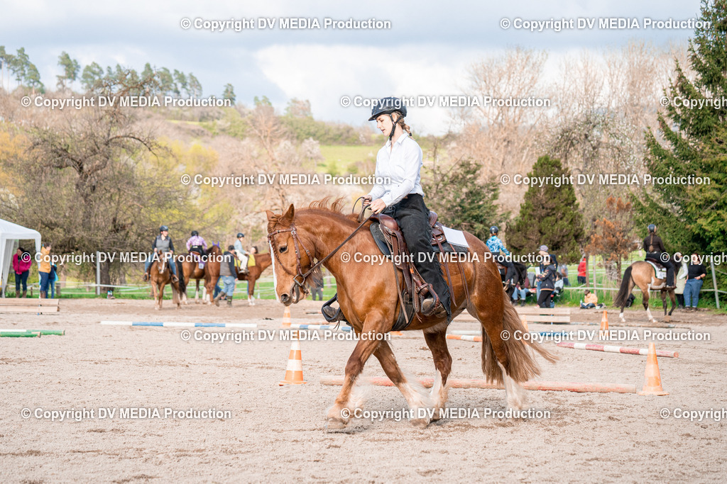 BAL02918 | dv-media-shop - Realisiert mit Pictrs.com