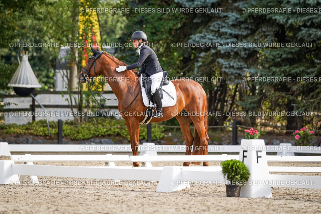 DSC00750 | Pferdegrafie