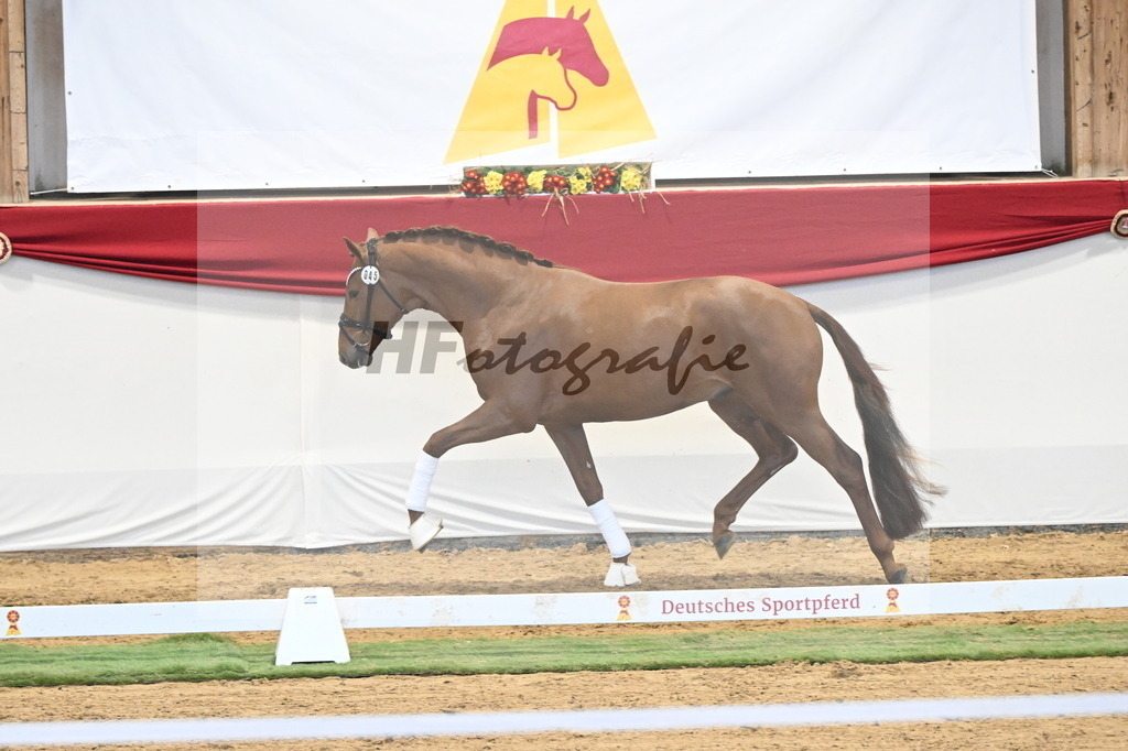 Kat.-Nr. 45 v. Escanto PS_De Vittorio und Stechele_3260373 | hf-fotografie - Realisiert mit Pictrs.com