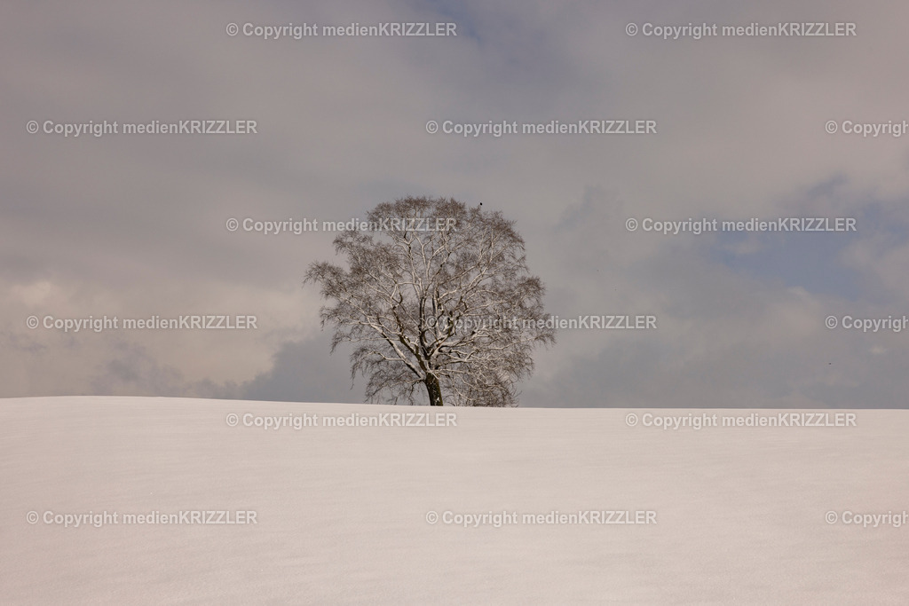 _J3A0269 | medienkrizzler - Realisiert mit Pictrs.com