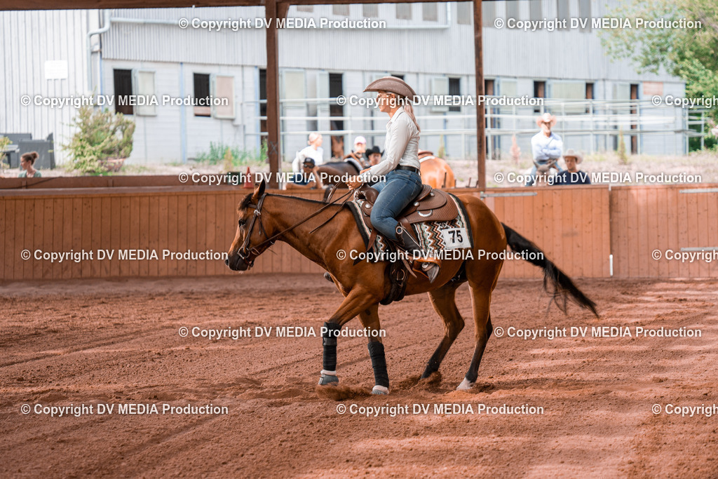 NE300706 | dv-media-shop - Realisiert mit Pictrs.com