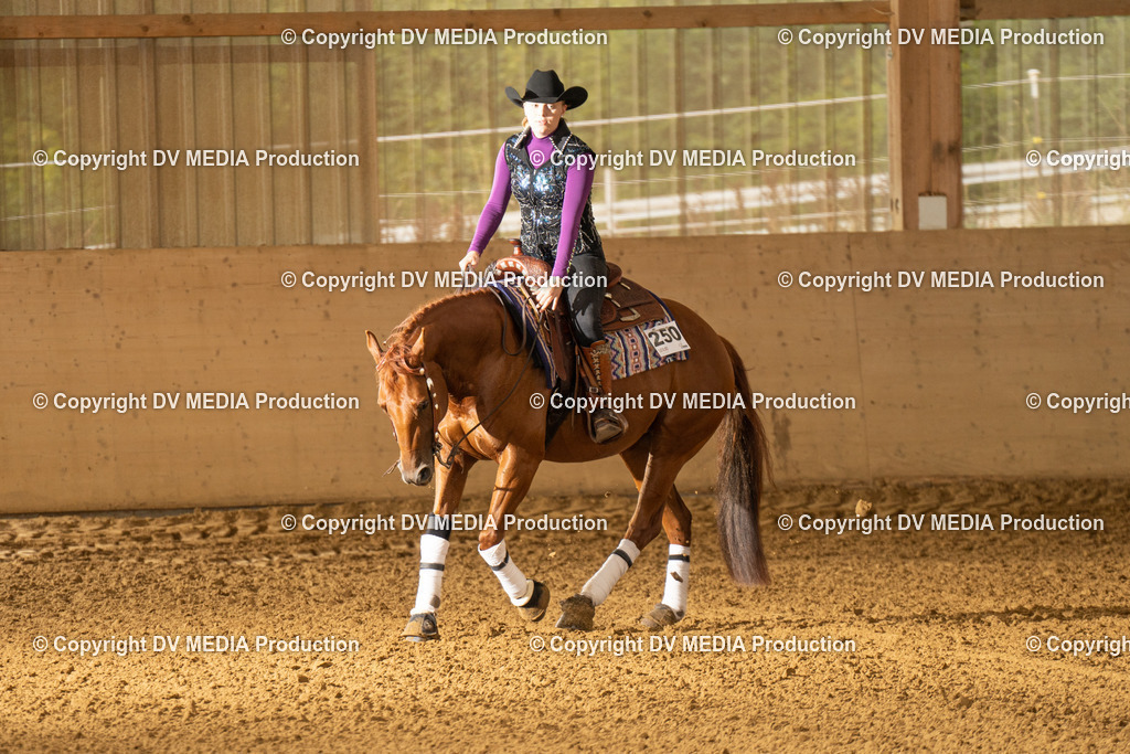 LAU01364 | dv-media-shop - Realisiert mit Pictrs.com