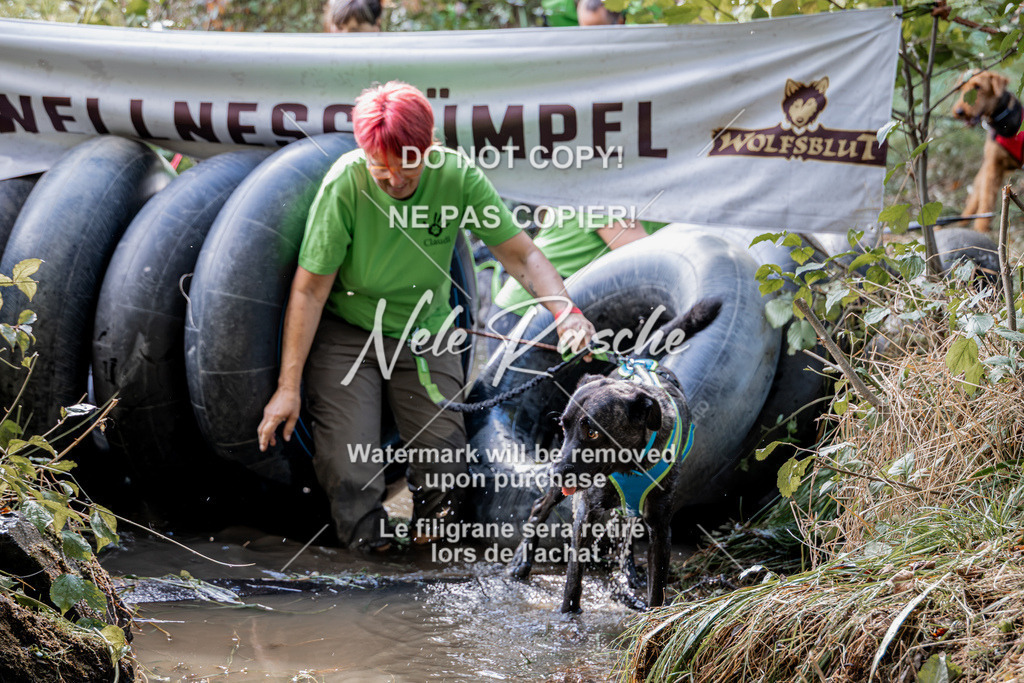 nelerasche_Hunsrück2026_Sa1400-1500_54 | nelerasche