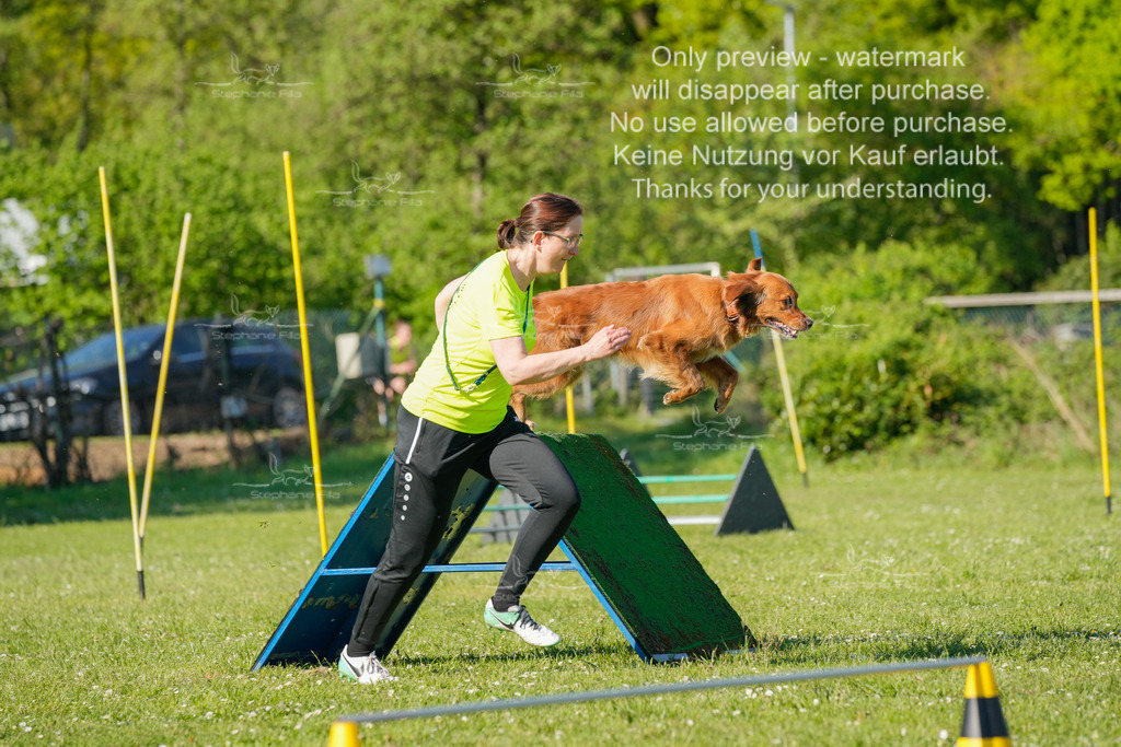 Sa_CSC-431 | stephaniefillaphotographie - Realisiert mit Pictrs.com