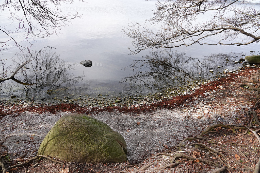 Smiling Lake_39 | White freshwater mussels on the shore