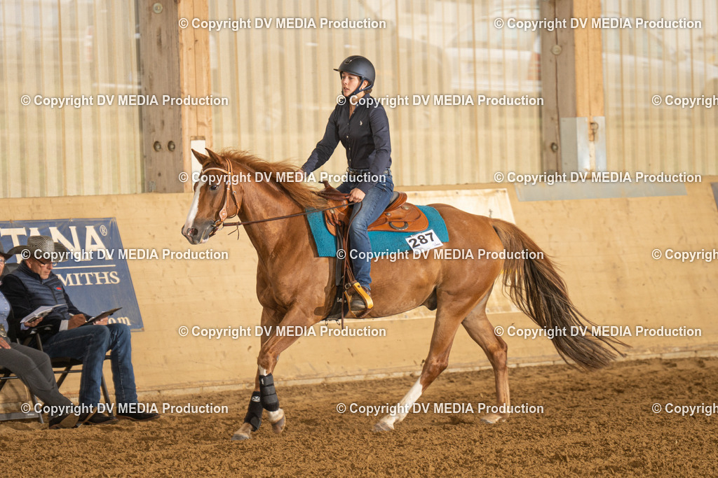 LAU00597 | dv-media-shop - Realisiert mit Pictrs.com