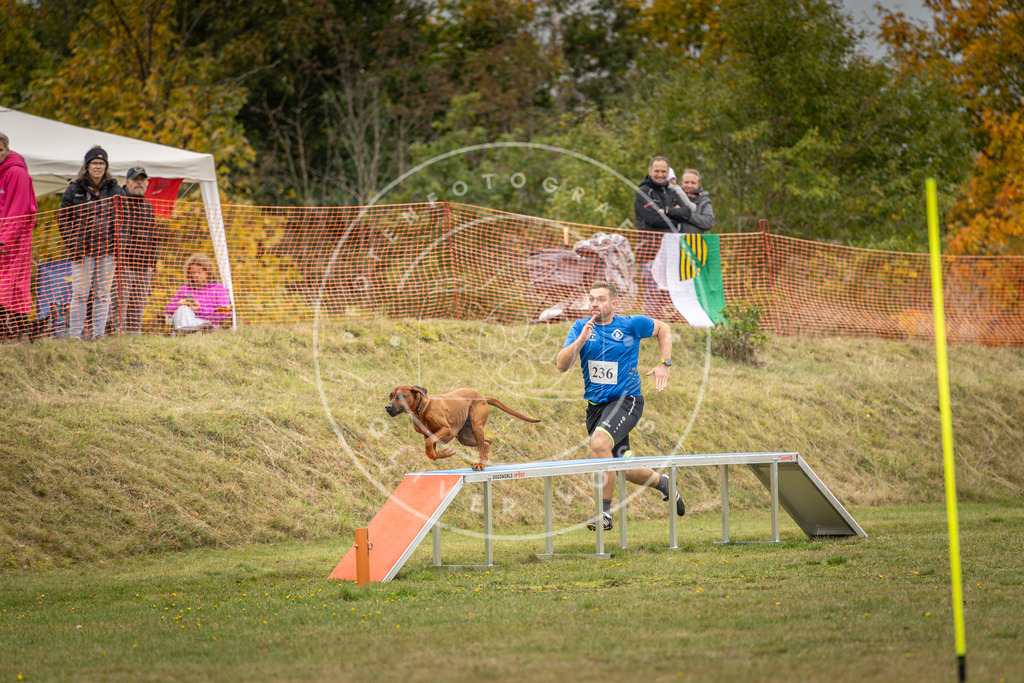 Pfotenfotografie_DV3A5716 | Hundefotografie, Tierfotograf, Pfotenfotografie, Fotoshooting Hund, Hunde Portrait, Hundesport, Hundeportraits, Heideshooting, Hunde, Sportfotograf, Hundefotograf, Turnierhundsport, THS,  - Realisiert mit Pictrs.com
