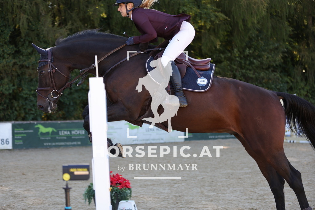 0P6A0888 | Willkommen bei Brunnmayr - Design & Fotografie – Ihrem Spezialisten für Reitturniere und Pferdeveranstaltungen in Oberösterreich, Salzburg und Bayern! Seit über 17 Jahren sind wir leidenschaftlich dabei.